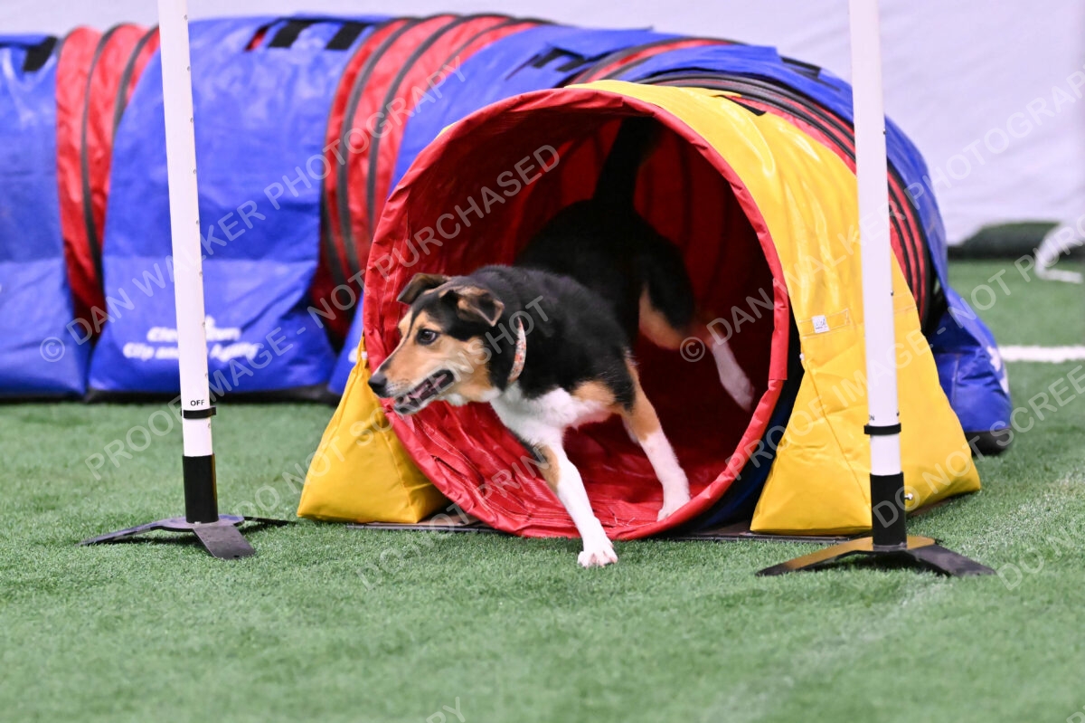 Rye-Elizabeth-Devore-10511