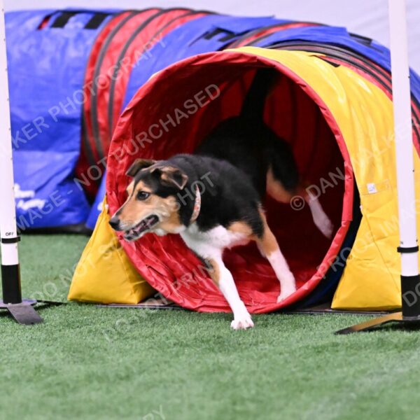 Rye-Elizabeth-Devore-10511