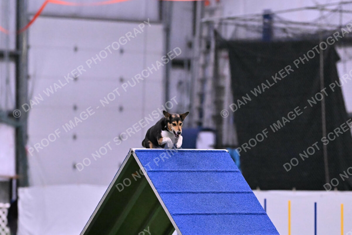 Rye-Elizabeth-Devore-10514