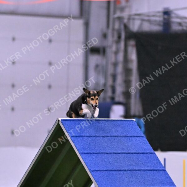 Rye-Elizabeth-Devore-10514