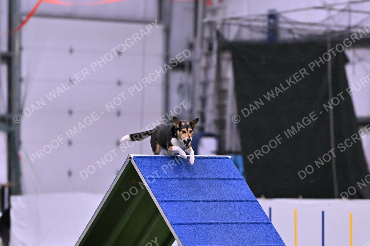 Rye-Elizabeth-Devore-10515