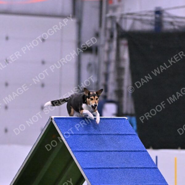 Rye-Elizabeth-Devore-10515