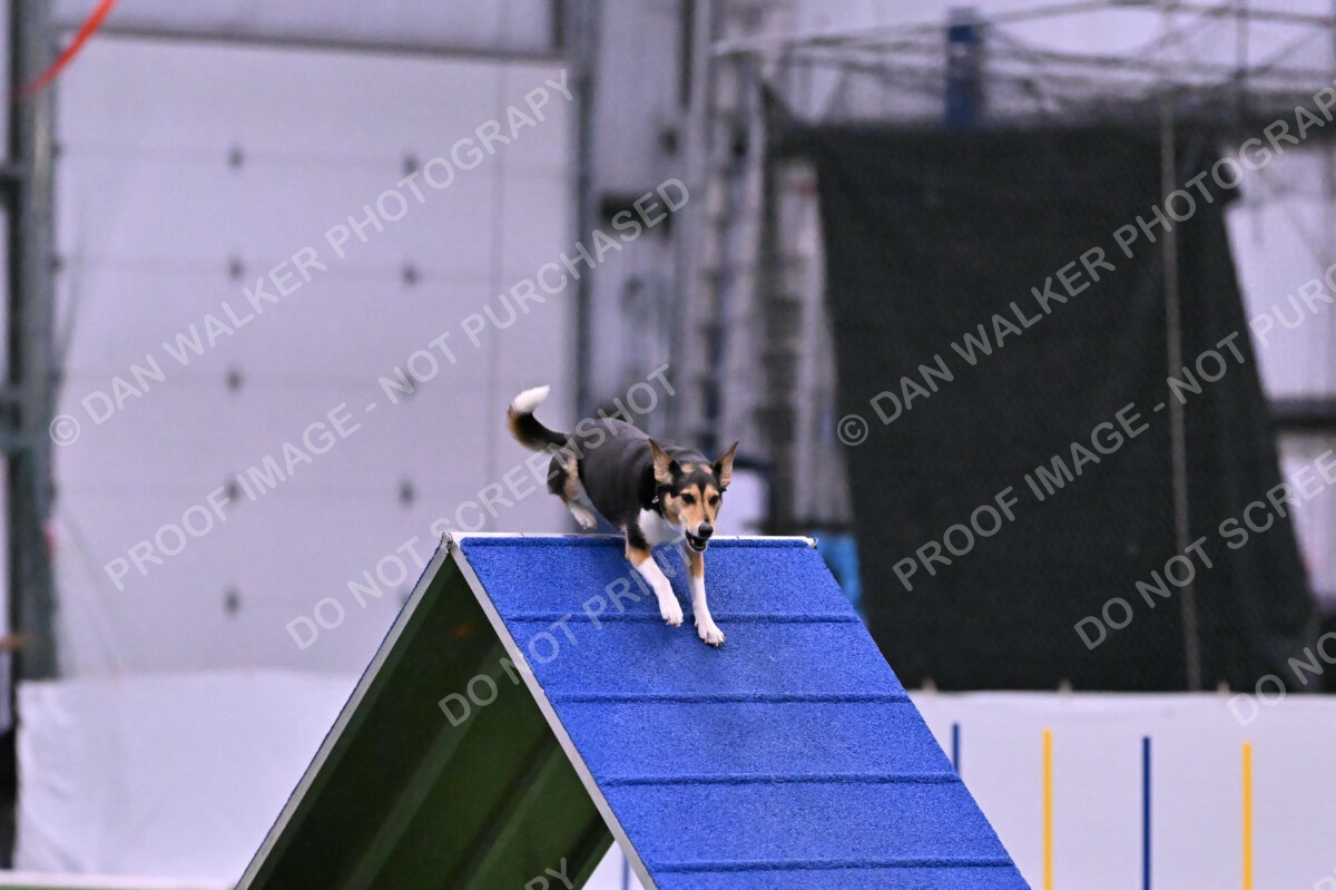 Rye-Elizabeth-Devore-10516