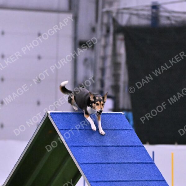 Rye-Elizabeth-Devore-10516