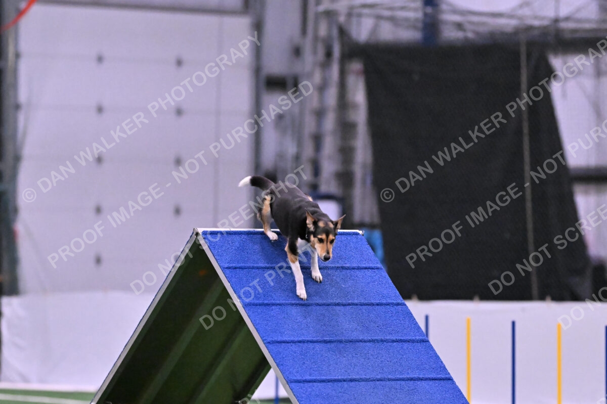 Rye-Elizabeth-Devore-10517