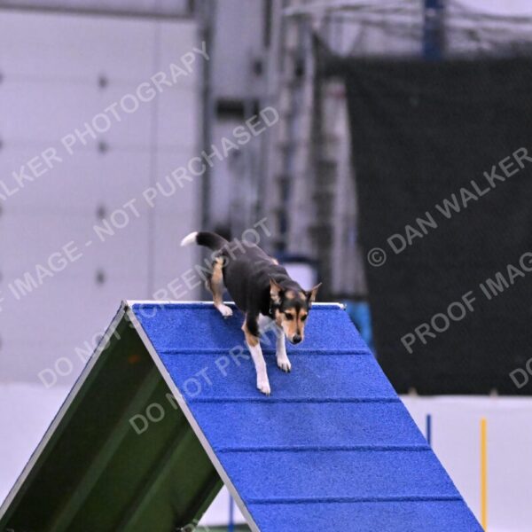 Rye-Elizabeth-Devore-10517