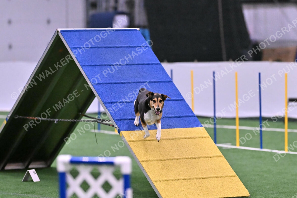 Rye-Elizabeth-Devore-10522