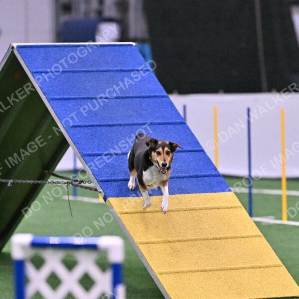 Rye-Elizabeth-Devore-10522