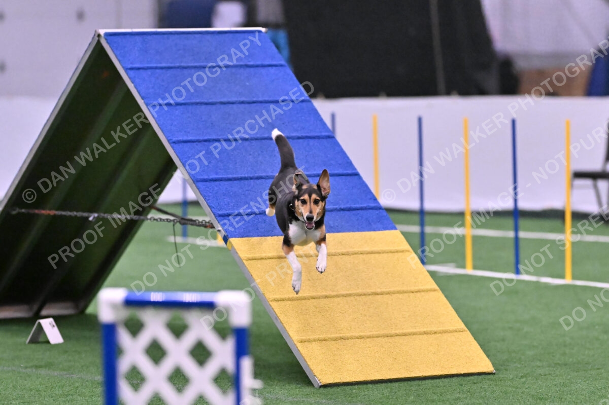 Rye-Elizabeth-Devore-10523