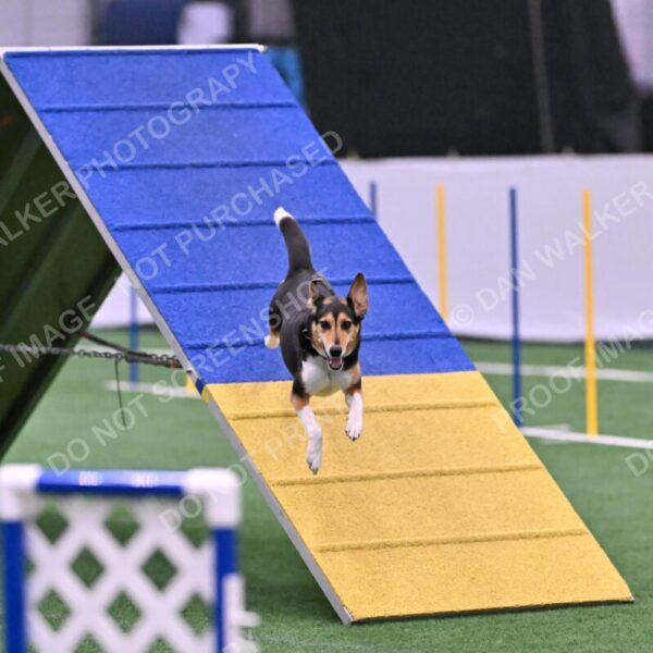 Rye-Elizabeth-Devore-10523