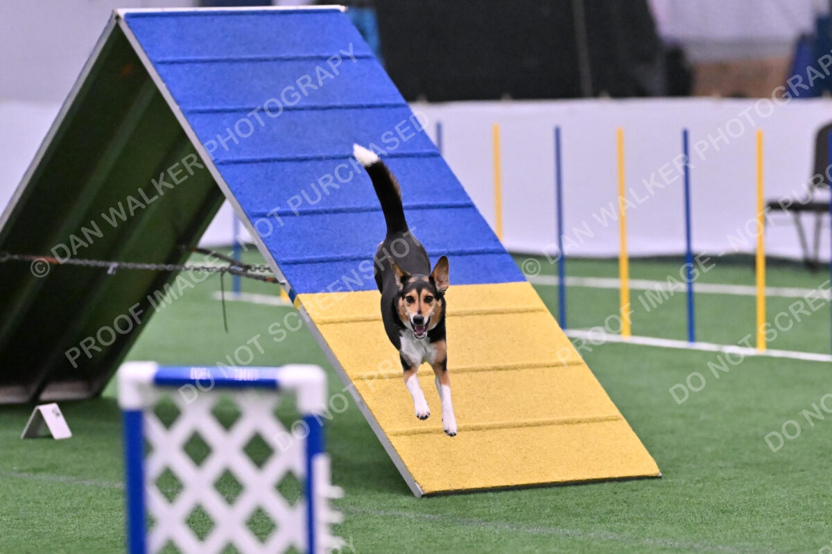 Rye-Elizabeth-Devore-10524