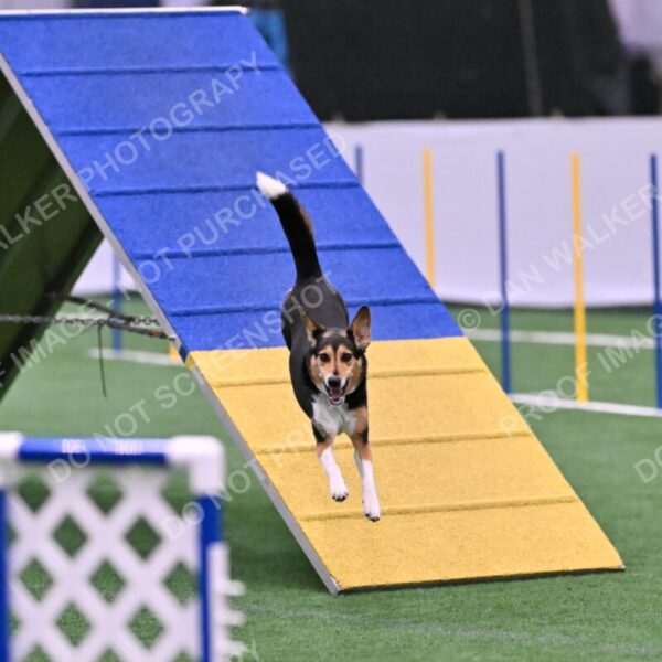 Rye-Elizabeth-Devore-10524