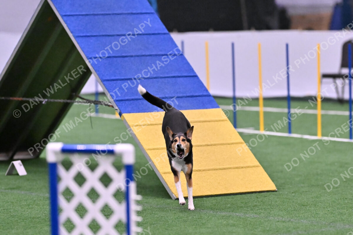 Rye-Elizabeth-Devore-10525