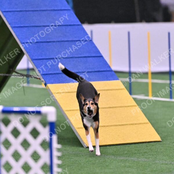 Rye-Elizabeth-Devore-10525