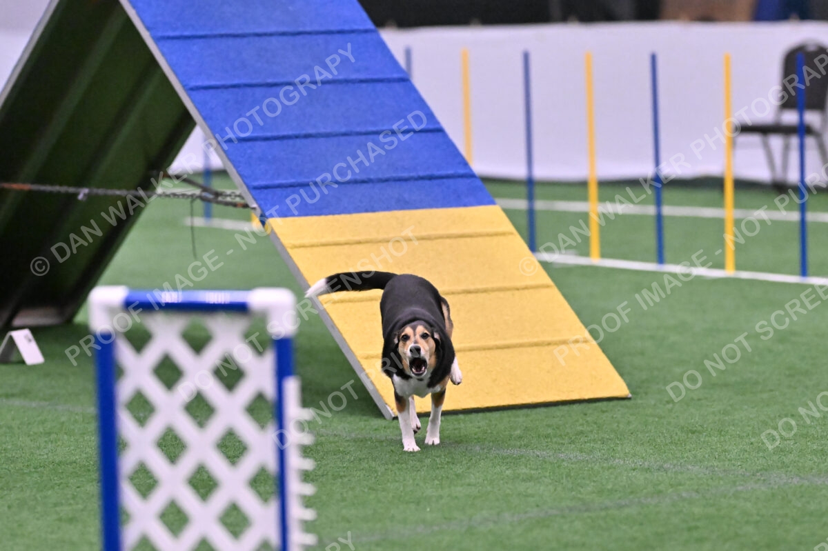 Rye-Elizabeth-Devore-10526