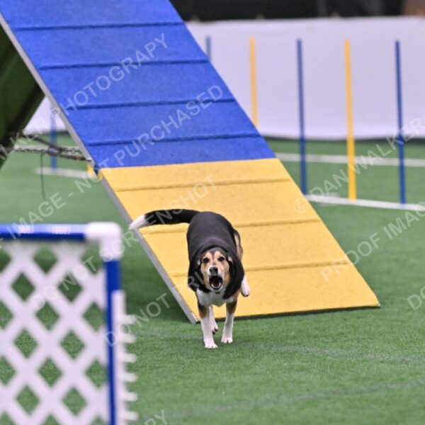 Rye-Elizabeth-Devore-10526