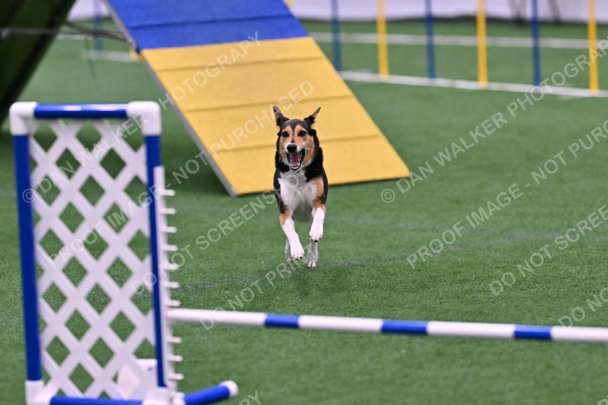 Rye-Elizabeth-Devore-10530