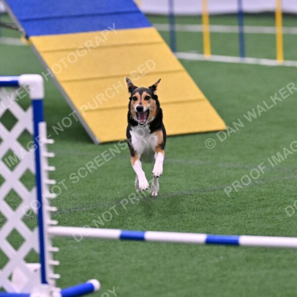 Rye-Elizabeth-Devore-10530