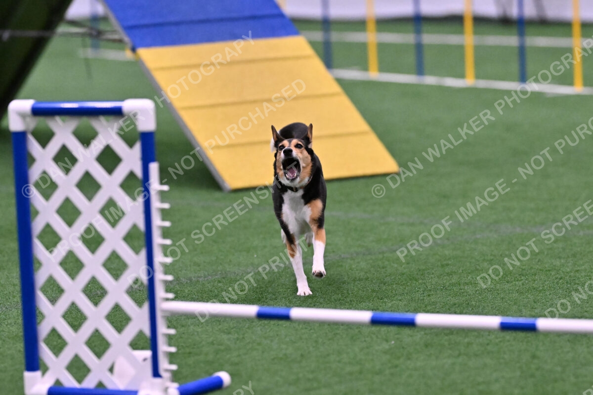 Rye-Elizabeth-Devore-10531