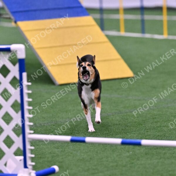 Rye-Elizabeth-Devore-10531