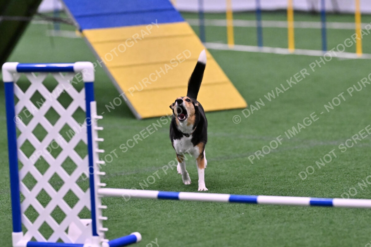 Rye-Elizabeth-Devore-10532