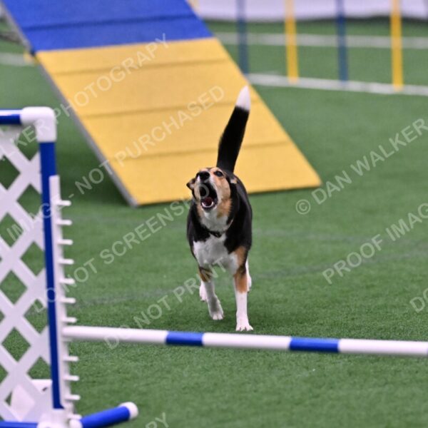 Rye-Elizabeth-Devore-10532