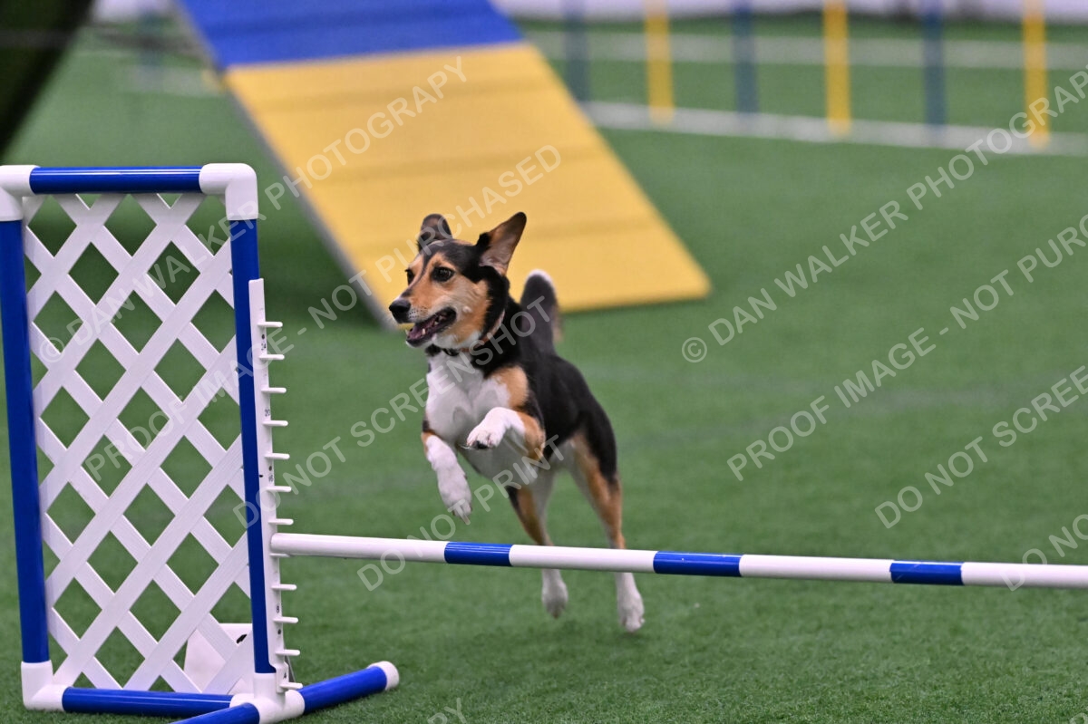 Rye-Elizabeth-Devore-10537