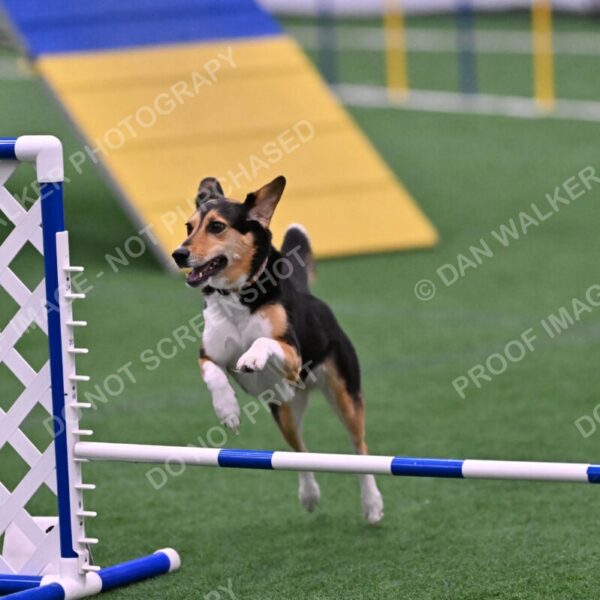 Rye-Elizabeth-Devore-10537