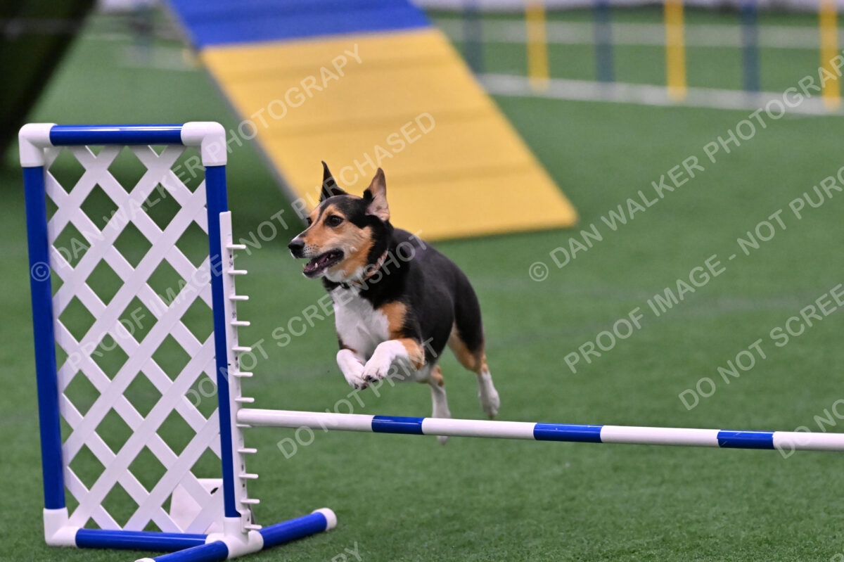 Rye-Elizabeth-Devore-10538