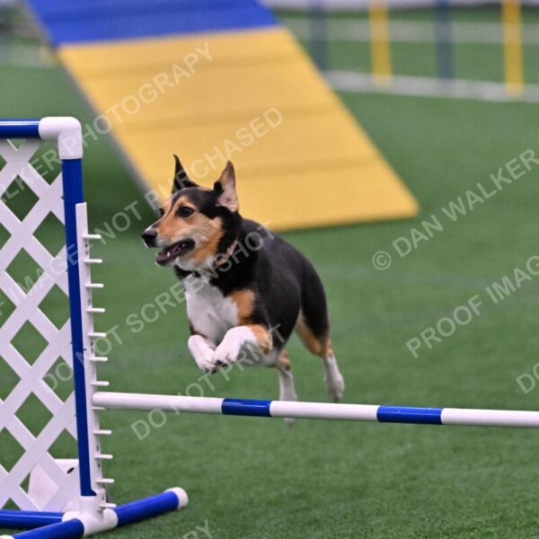 Rye-Elizabeth-Devore-10538