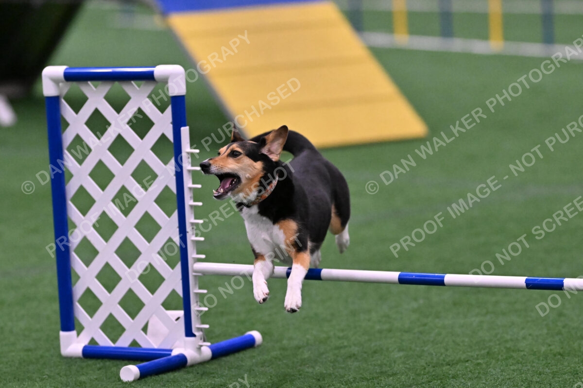 Rye-Elizabeth-Devore-10539