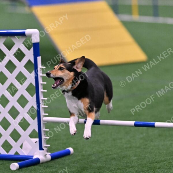 Rye-Elizabeth-Devore-10539