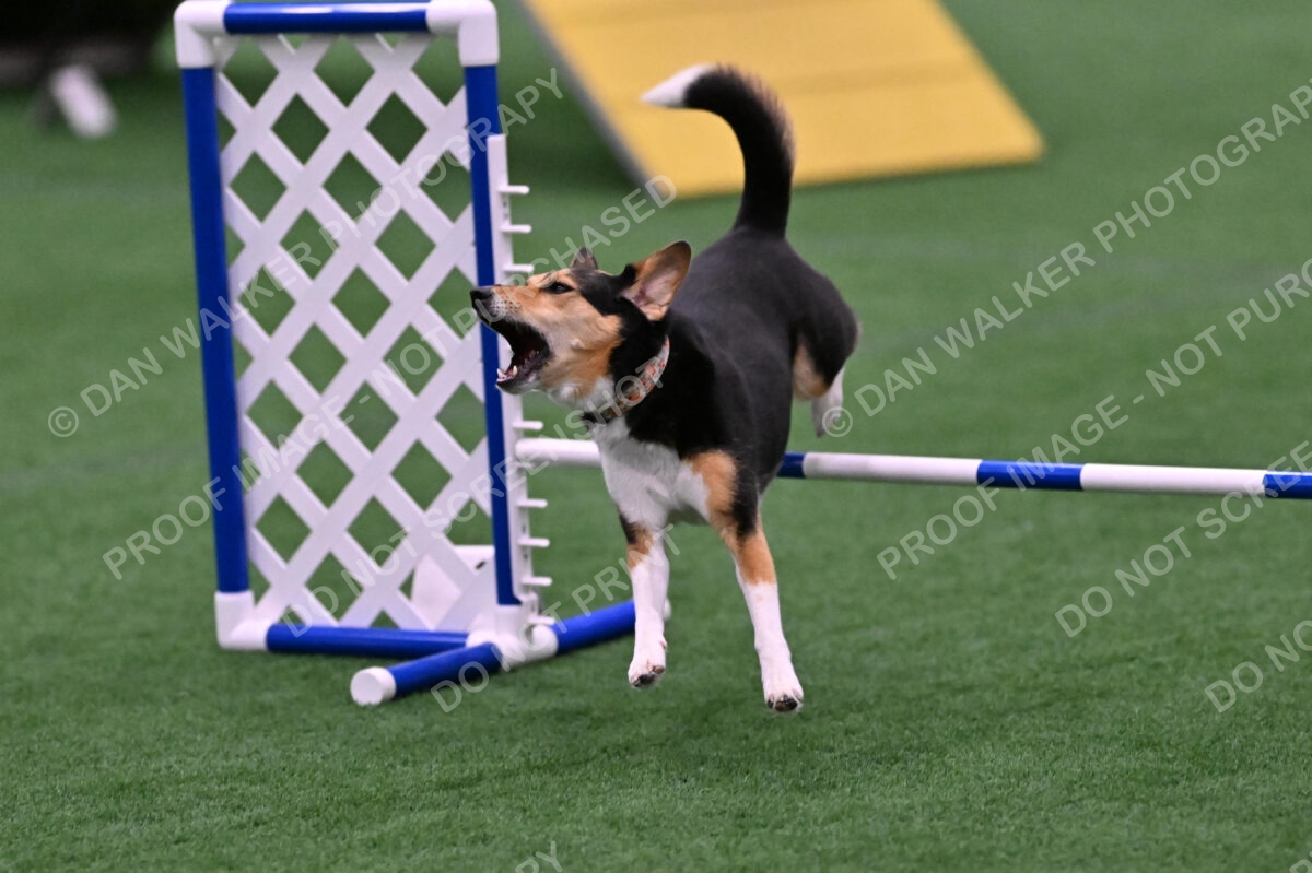 Rye-Elizabeth-Devore-10540