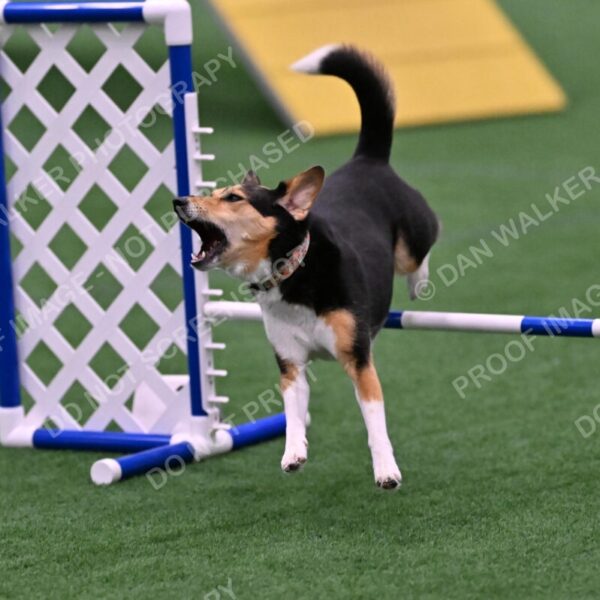 Rye-Elizabeth-Devore-10540