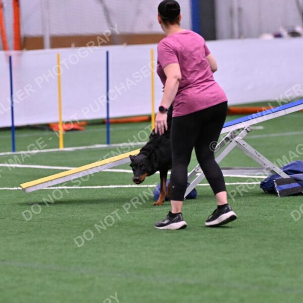 Sirsee-Janice-Bourell-Casey-05563