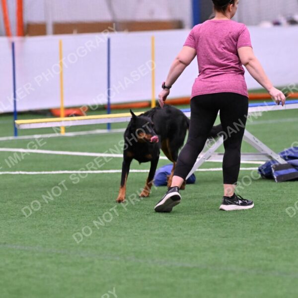 Sirsee-Janice-Bourell-Casey-05564