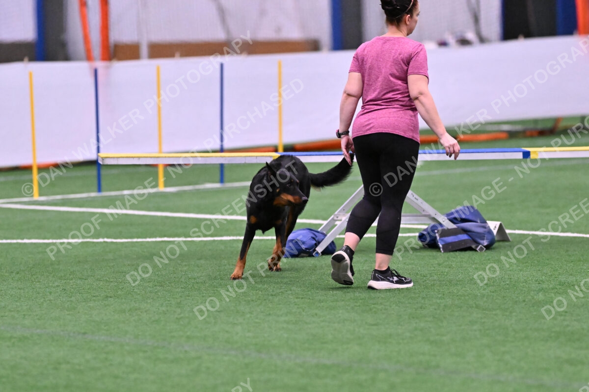 Sirsee-Janice-Bourell-Casey-05566