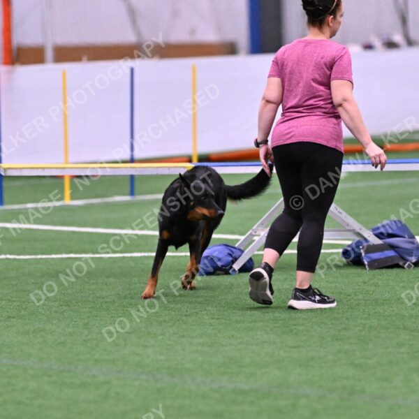 Sirsee-Janice-Bourell-Casey-05566