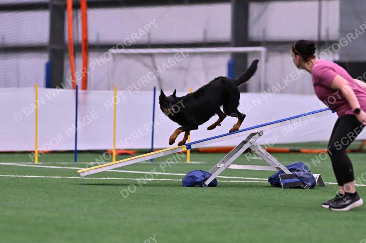 Sirsee-Janice-Bourell-Casey-05568