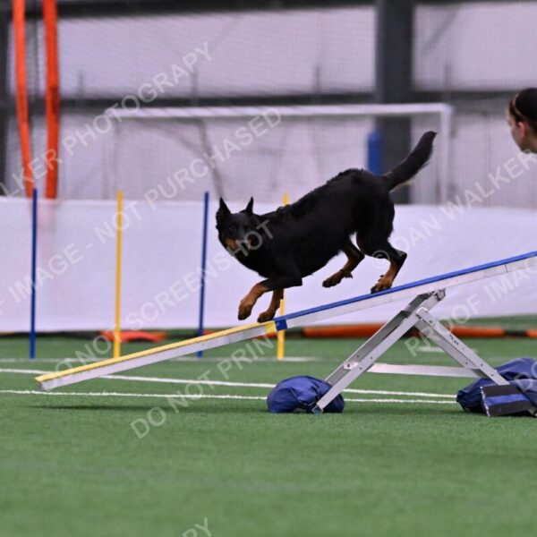 Sirsee-Janice-Bourell-Casey-05568