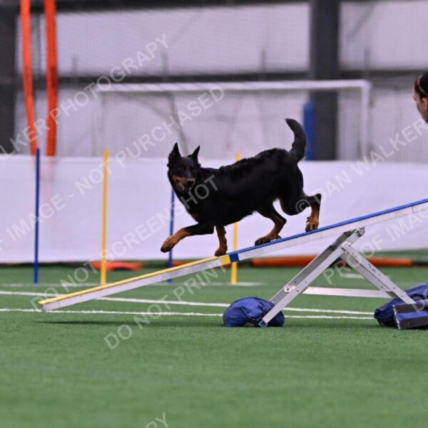 Sirsee-Janice-Bourell-Casey-05569