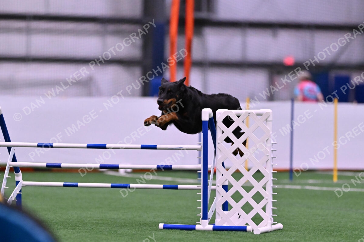 Sirsee-Janice-Bourell-Casey-05571