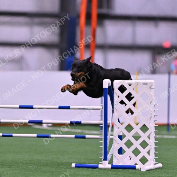 Sirsee-Janice-Bourell-Casey-05571