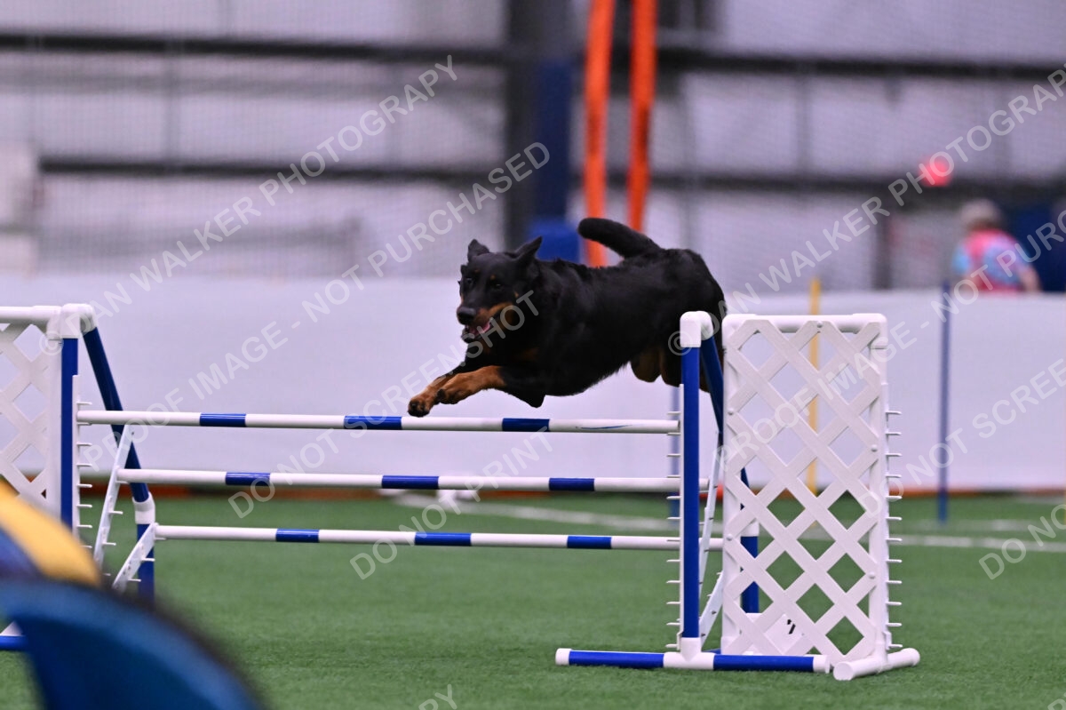 Sirsee-Janice-Bourell-Casey-05572