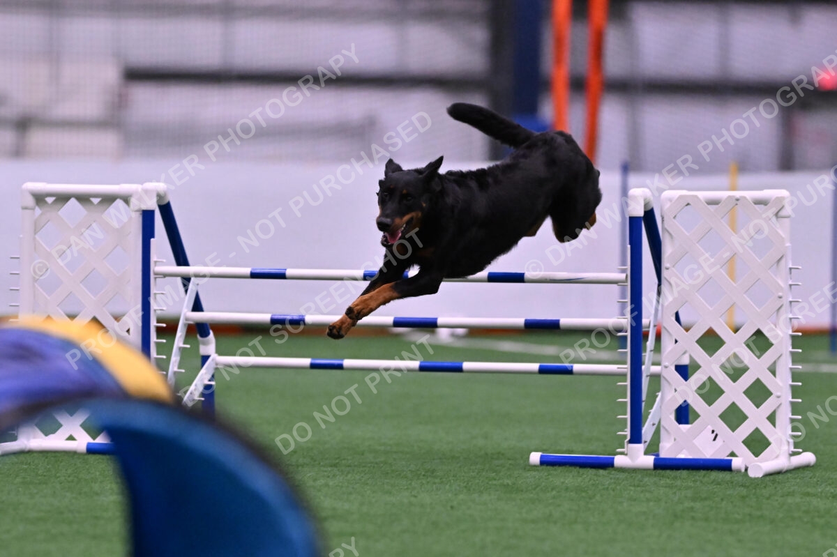 Sirsee-Janice-Bourell-Casey-05573