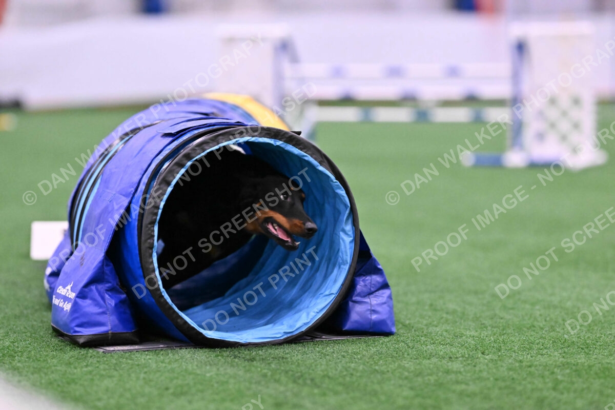 Sirsee-Janice-Bourell-Casey-05576