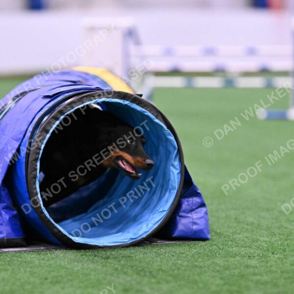 Sirsee-Janice-Bourell-Casey-05576