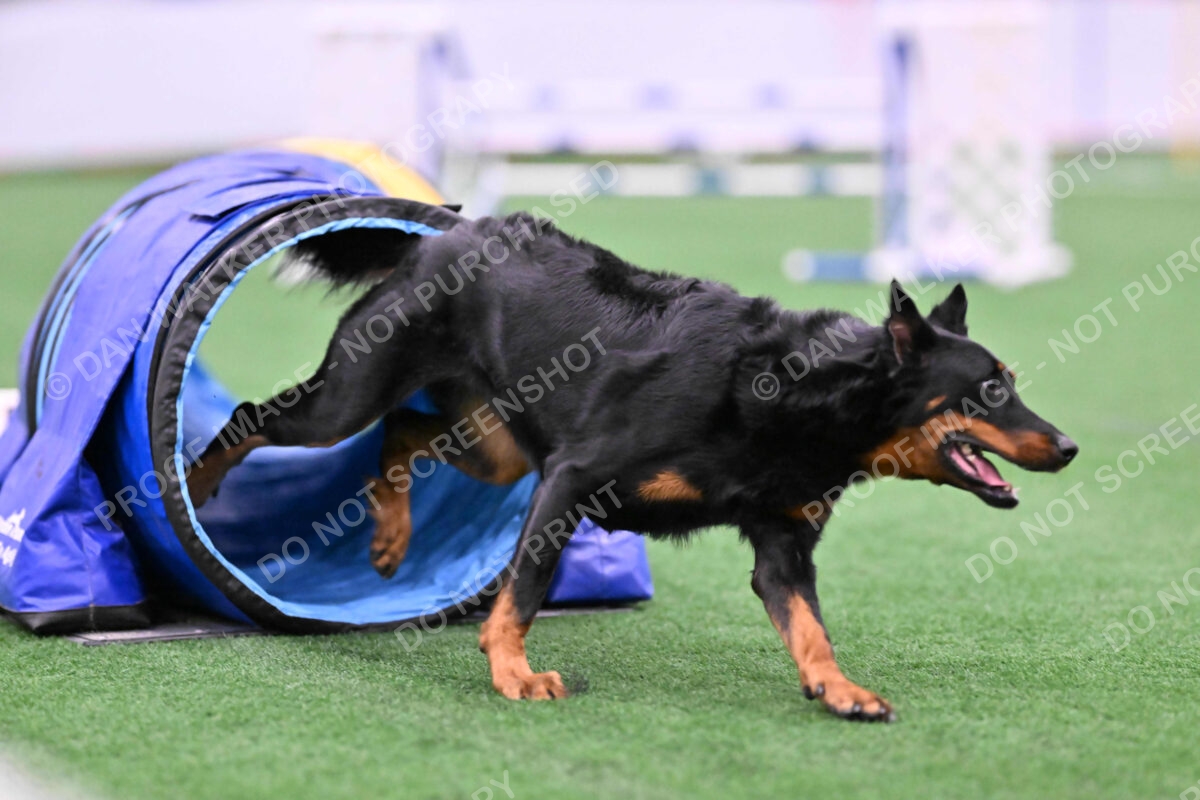 Sirsee-Janice-Bourell-Casey-05579