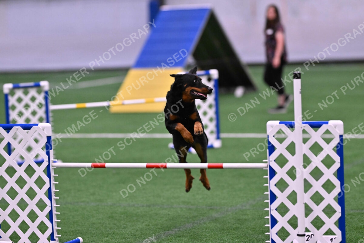 Sirsee-Janice-Bourell-Casey-05586