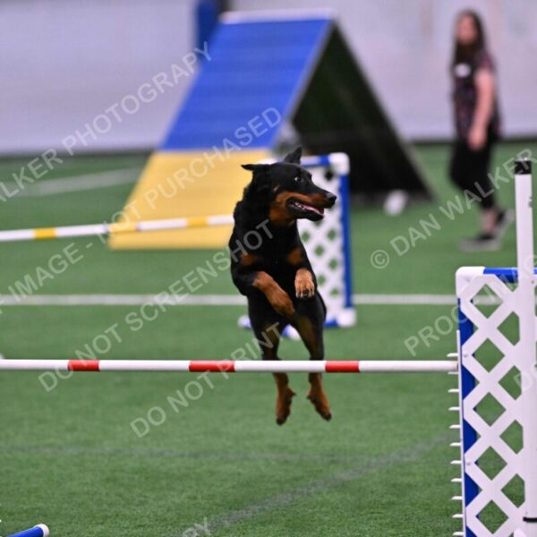 Sirsee-Janice-Bourell-Casey-05586